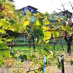 Bed & Breakfast Bastilla Gravere