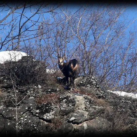 Bed and Breakfast Bastilla