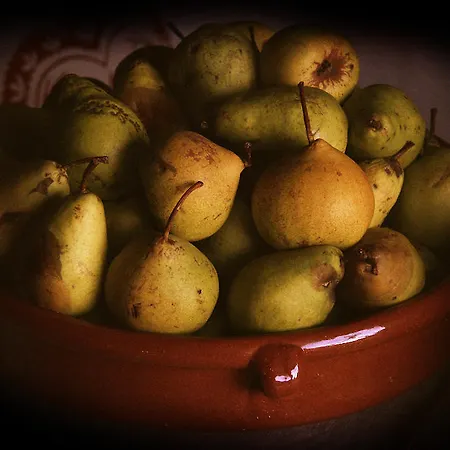 Alla Bastilla