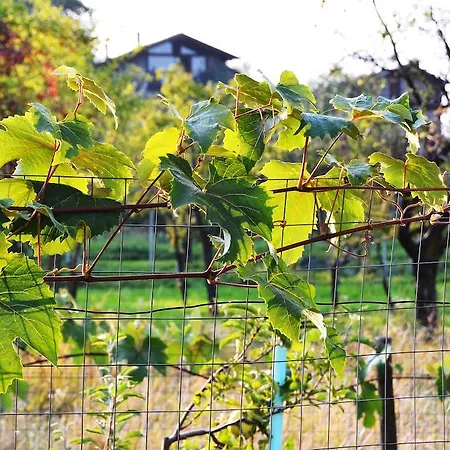 Bed and Breakfast Bastilla Gravere