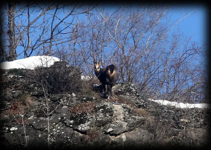 住宿加早餐酒店 阿拉巴斯蒂拉住宿加早餐旅馆