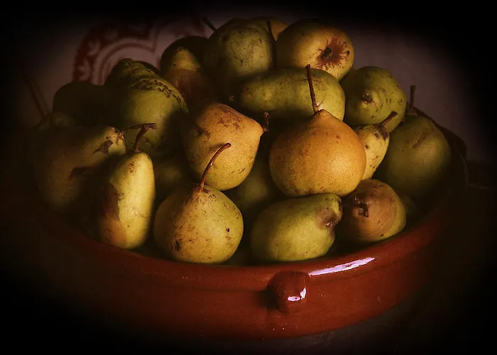 阿拉巴斯蒂拉住宿加早餐旅馆