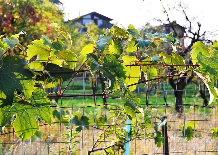 住宿加早餐酒店 阿拉巴斯蒂拉住宿加早餐旅馆 Gravere
